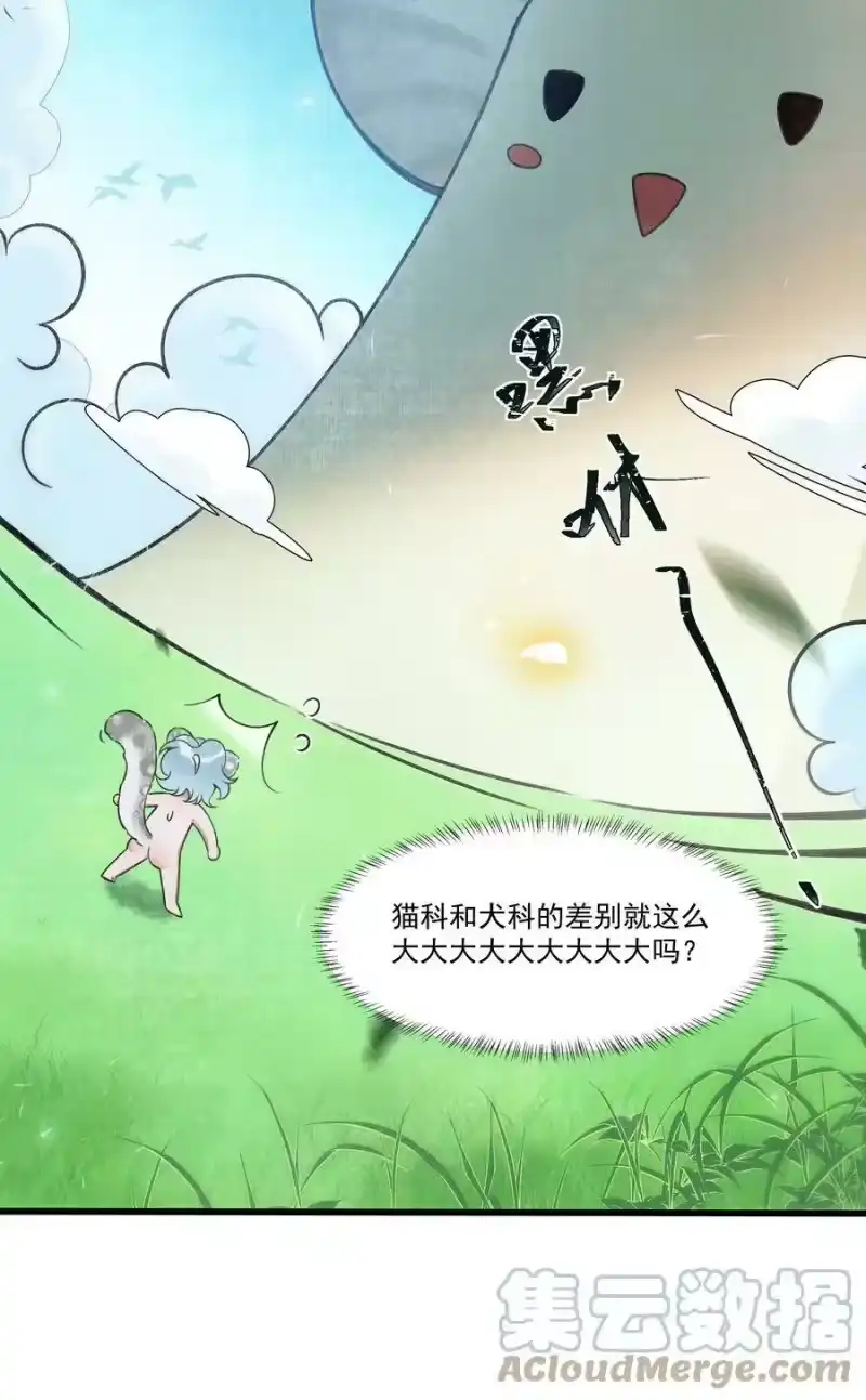雪豹喜欢咬尾巴_h 013 下次记得剪指甲 第31页