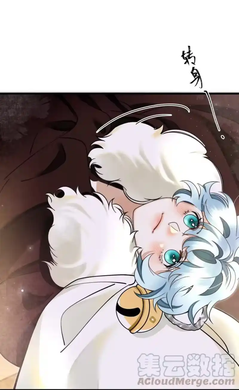 雪豹喜欢咬尾巴_h 015 大王！这是祸水所为啊！ 第25页