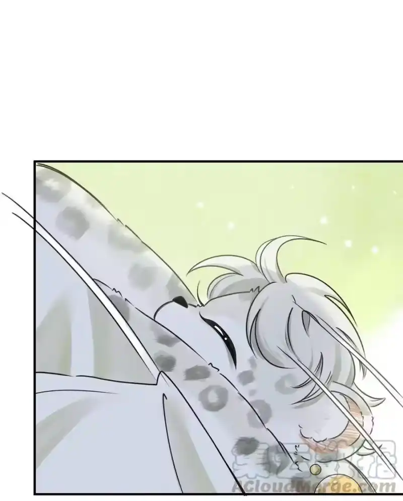 雪豹喜欢咬尾巴_h 002 小猫，本王有些冷了 第15页