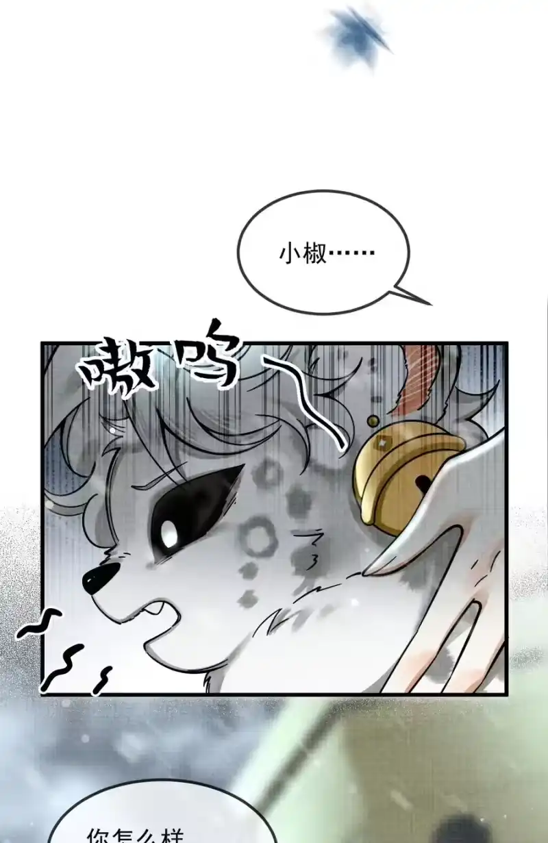 雪豹喜欢咬尾巴_h 037 小别胜新婚～ 第6页