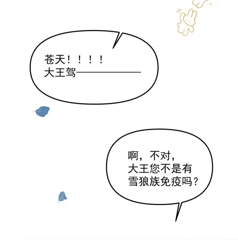 雪豹喜欢咬尾巴_h 045 来历不明的伤口 第44页