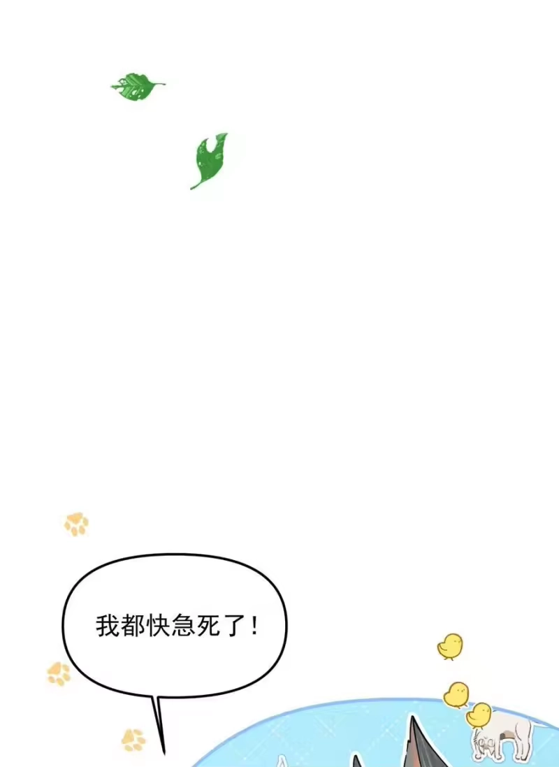 雪豹喜欢咬尾巴_h 047 椒美人，保密，保密！ 第48页