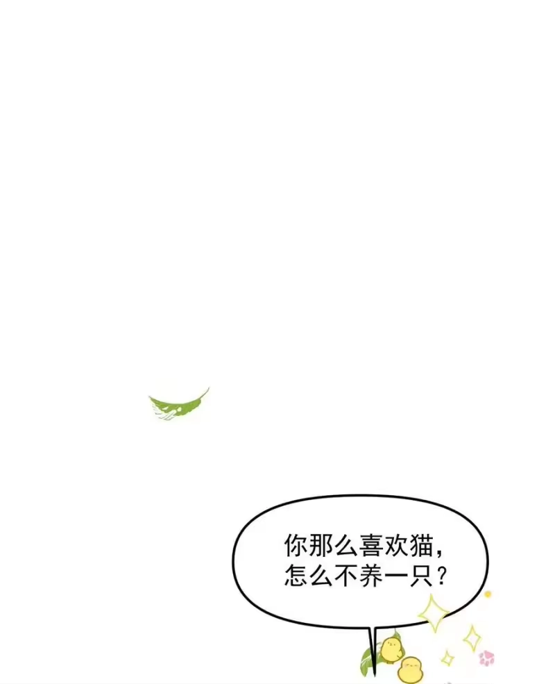 雪豹喜欢咬尾巴_h 049 他种了好多猫草诶～？ 第39页
