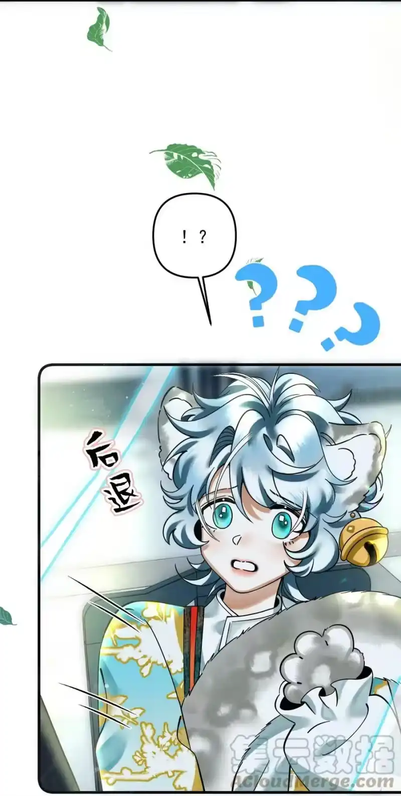 雪豹喜欢咬尾巴_h 049 他种了好多猫草诶～？ 第4页