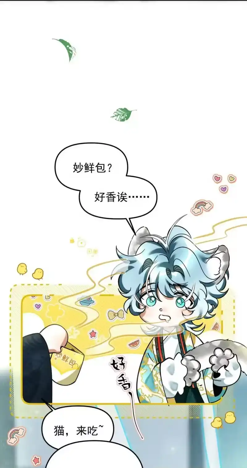 雪豹喜欢咬尾巴_h 049 他种了好多猫草诶～？ 第6页