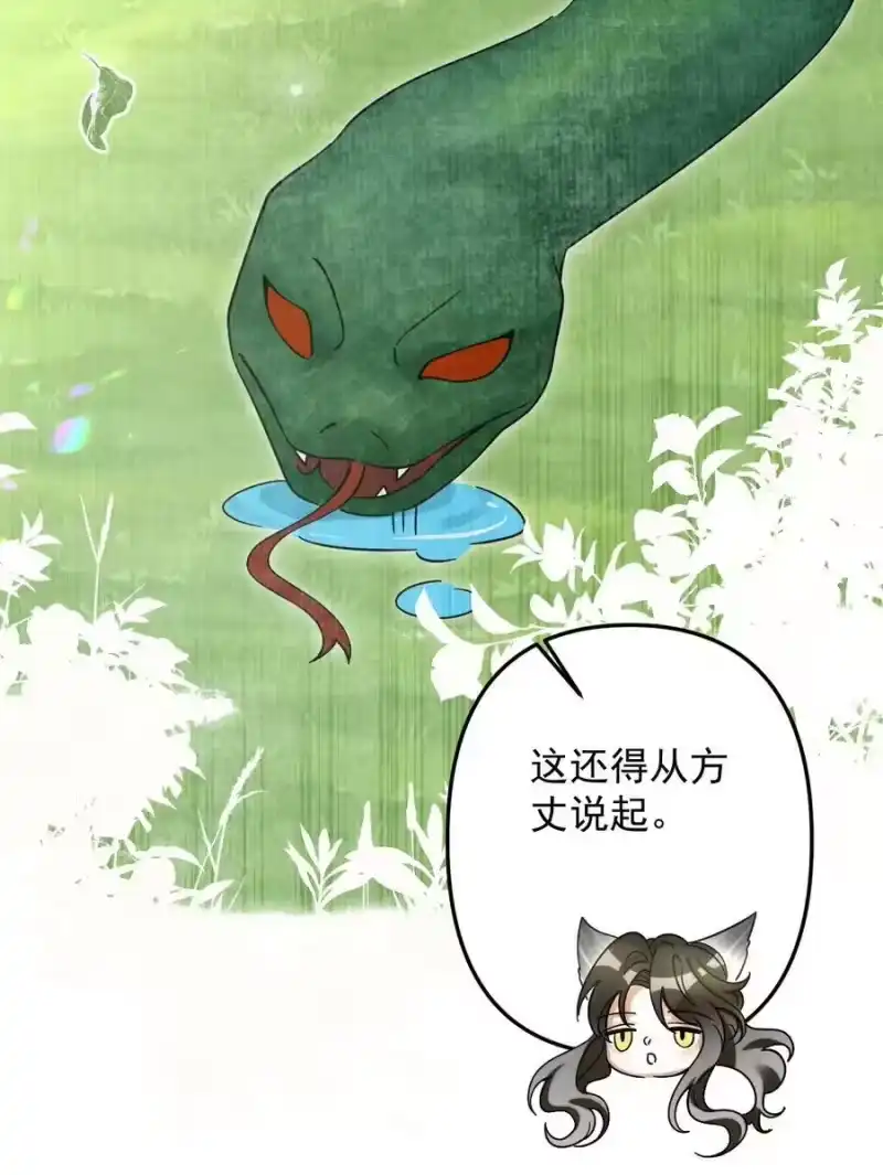 雪豹喜欢咬尾巴_h 050 禁止投喂我的猫！ 第12页