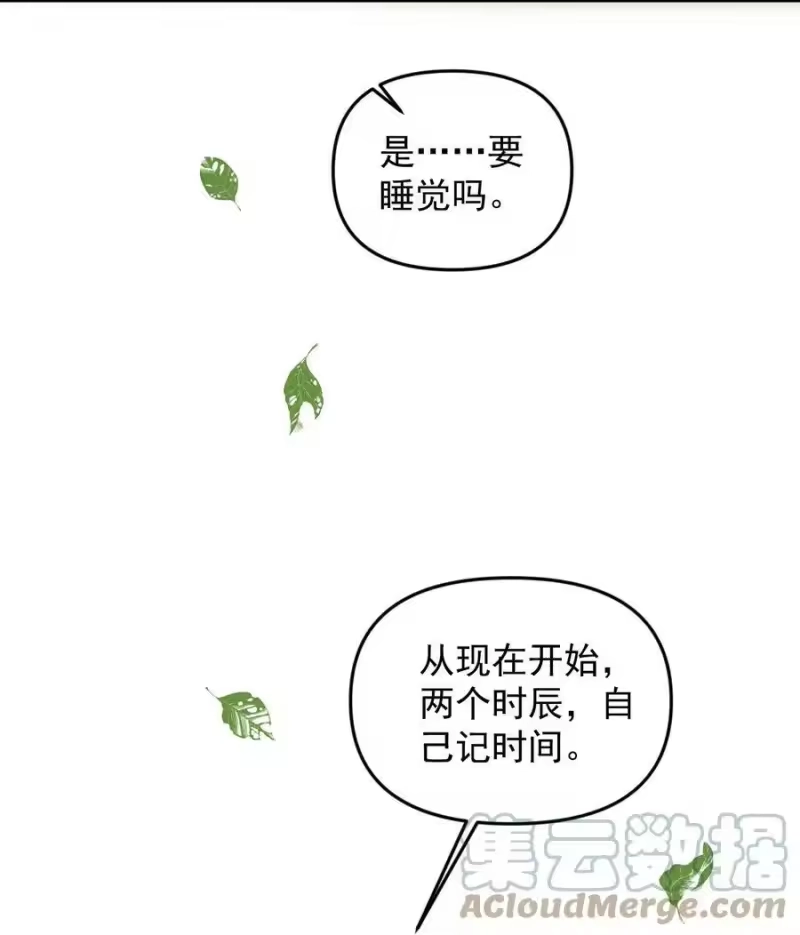 雪豹喜欢咬尾巴_h 052 我也开始喜欢猫了 第43页