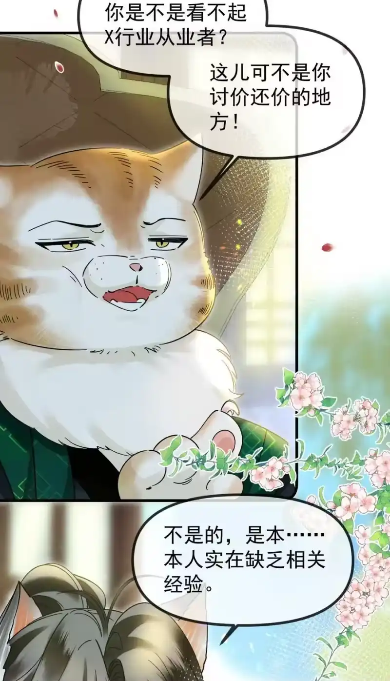 雪豹喜欢咬尾巴_h 056 不为人知的过节 第10页