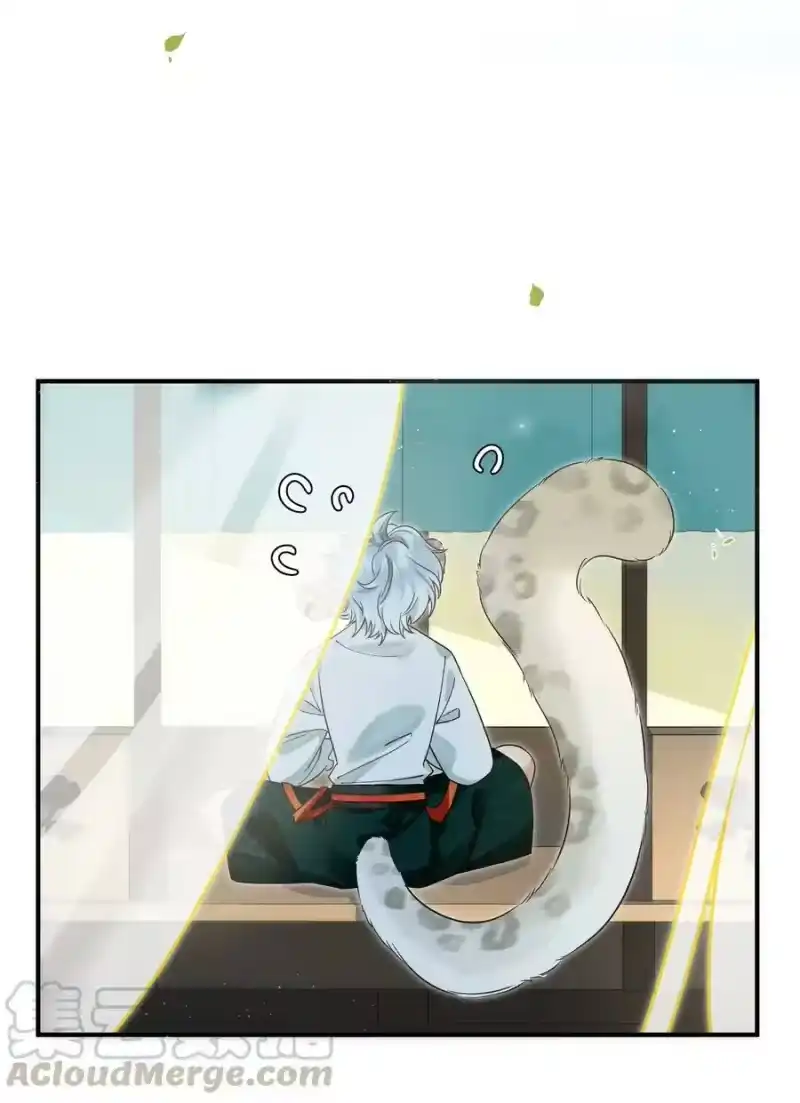 雪豹喜欢咬尾巴_h 005 大王的脸，才叫一见难忘 第4页