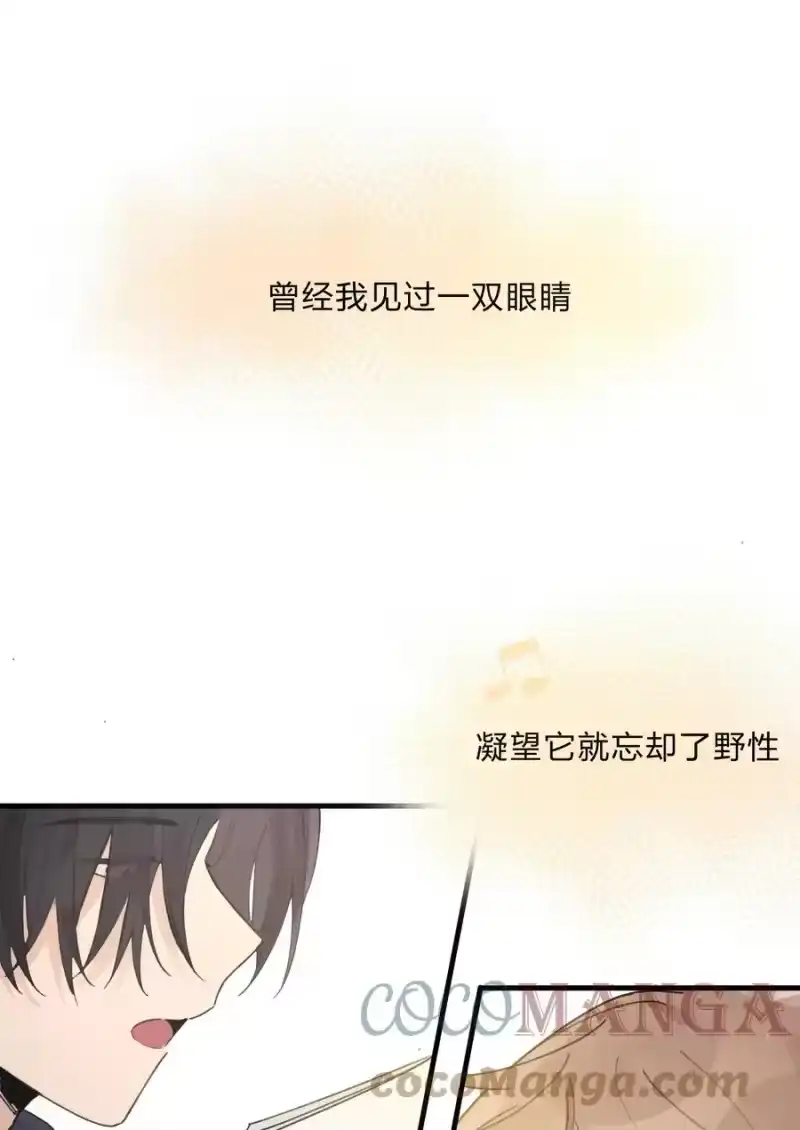 轻错_h Track034 天生就属于舞台 第19页