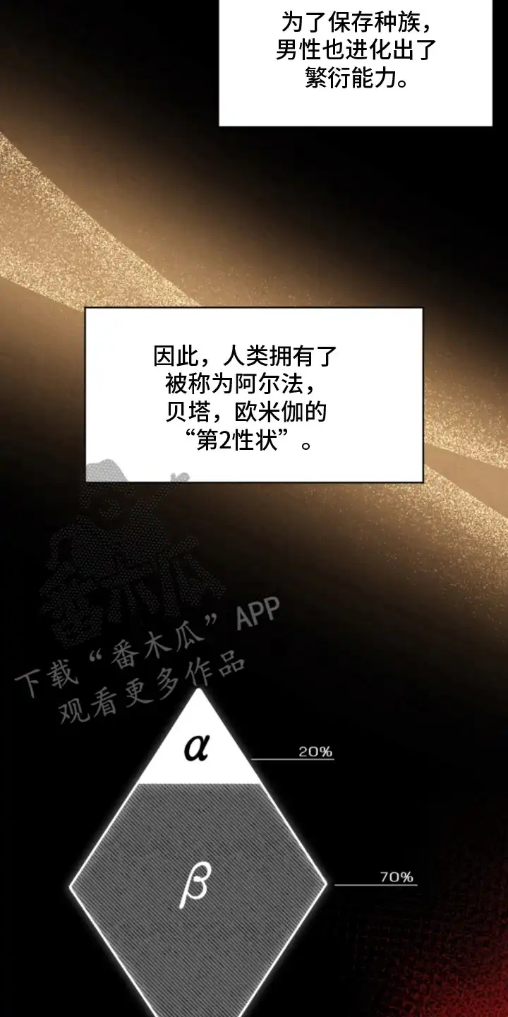 风险回报 第1章：时尚设计师 第2页