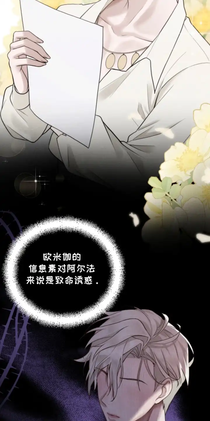 风险回报 第2章：催婚 第4页