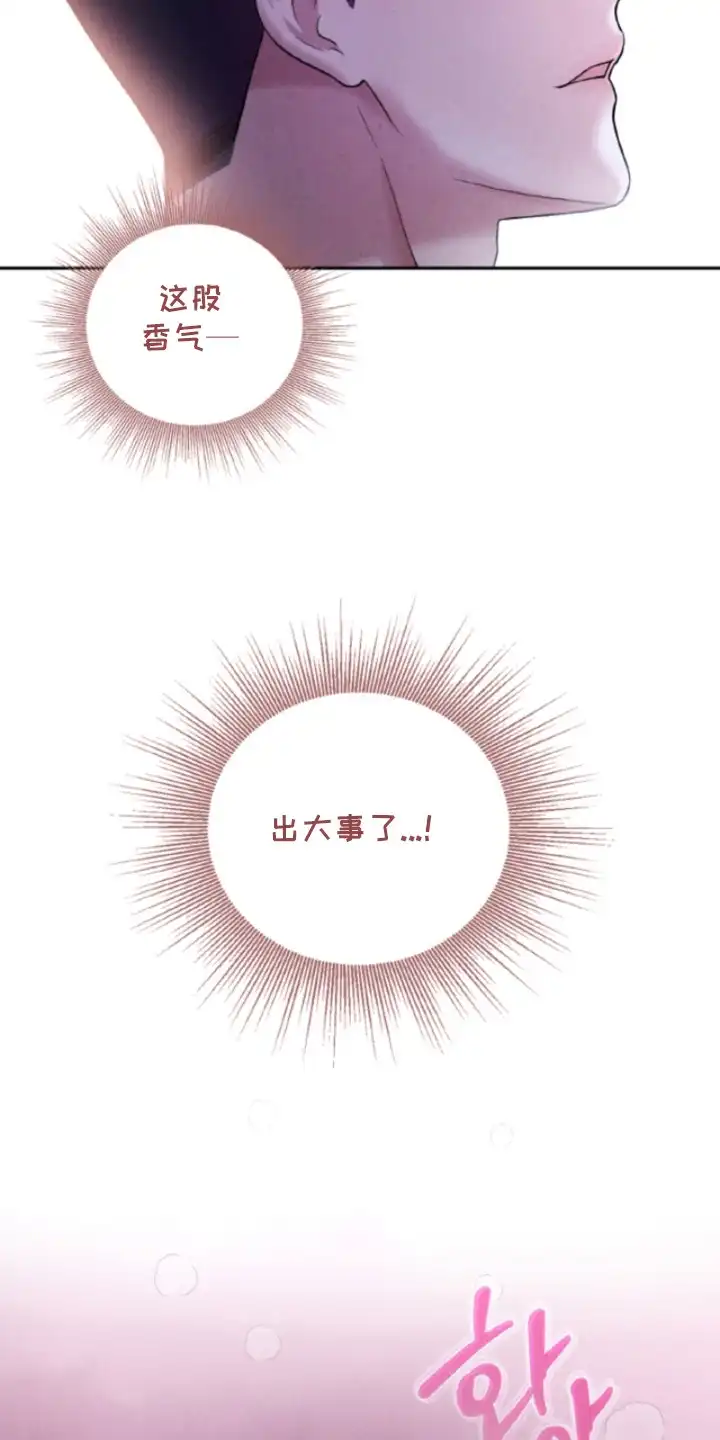 风险回报 第5章：信息素 第20页