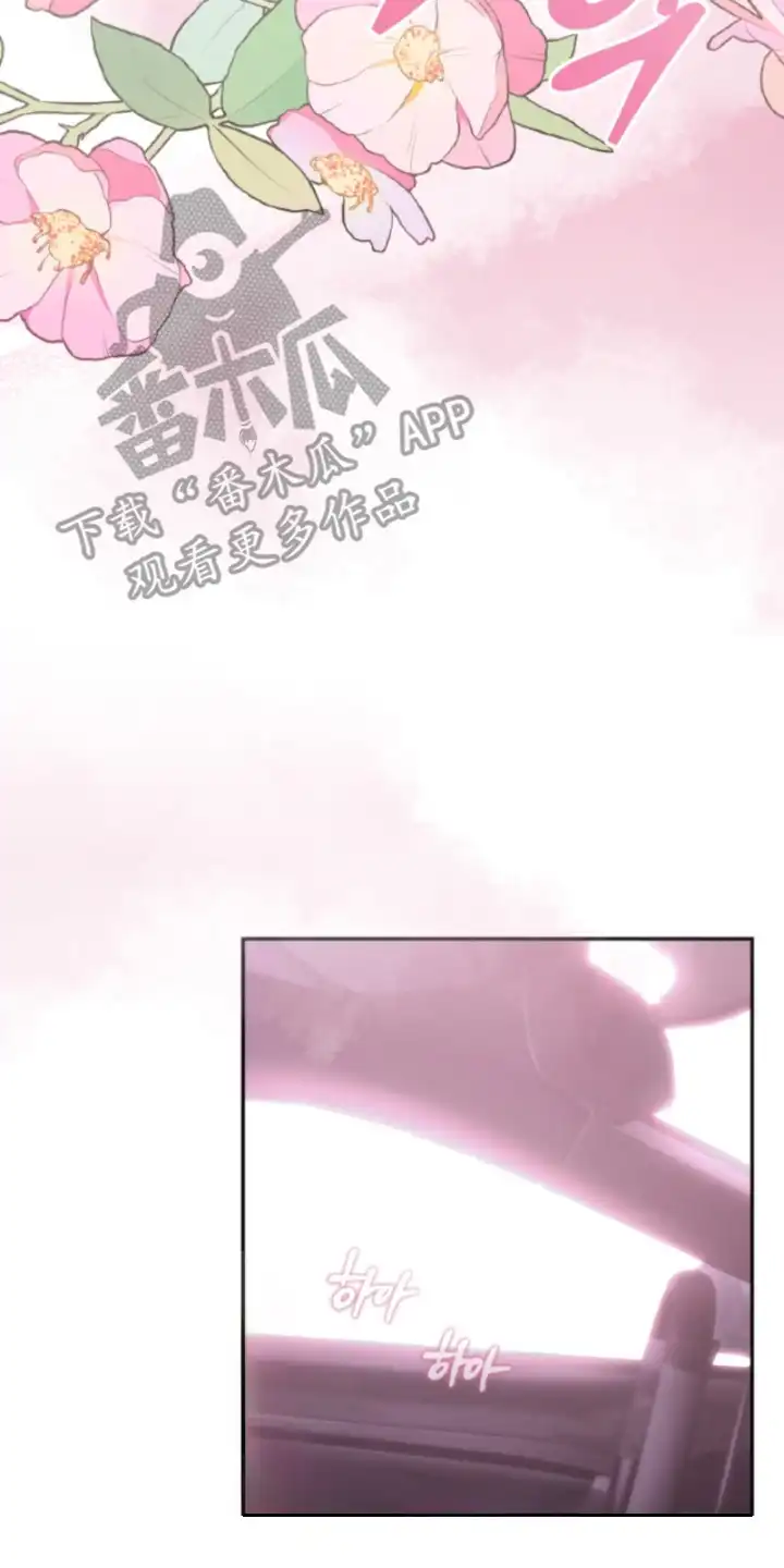 风险回报 第5章：信息素 第26页