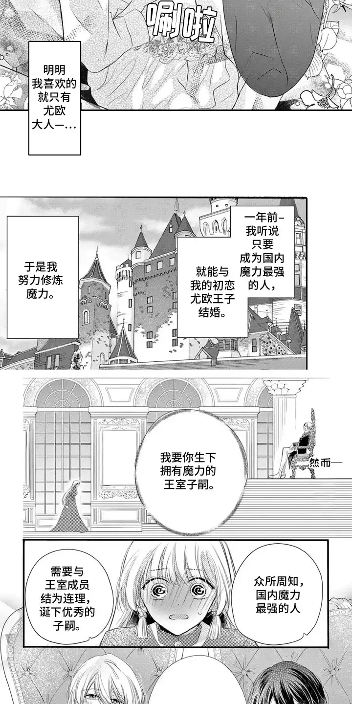 王子的双重契约 第1章：双胞胎 第2页