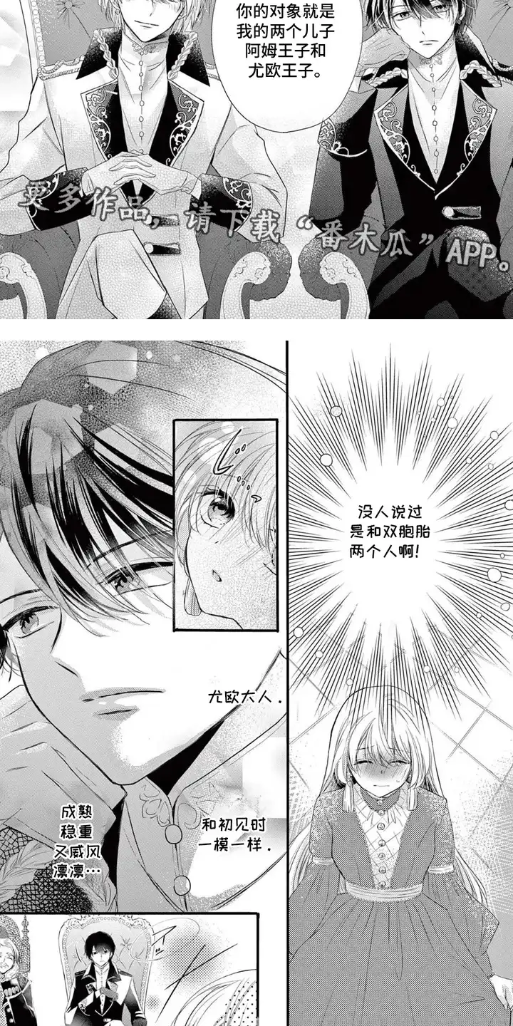 王子的双重契约 第1章：双胞胎 第3页