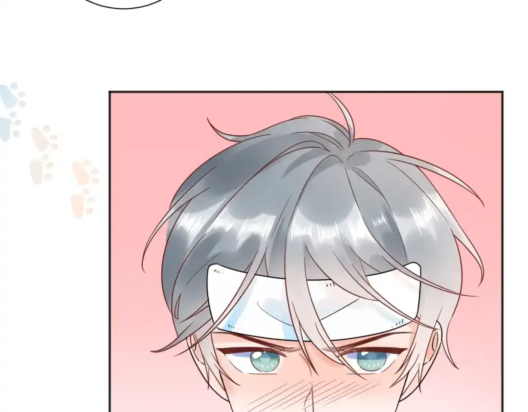 渣男都滚开 036 我才是穆家儿媳妇啊...! 第17页