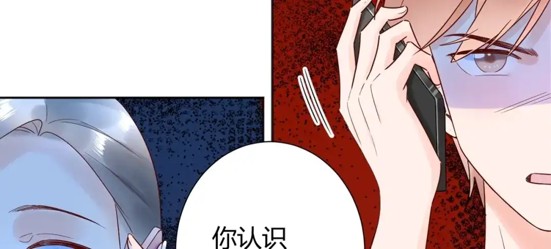 渣男都滚开 036 我才是穆家儿媳妇啊...! 第85页