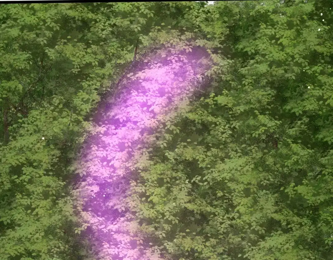 我夺舍了魔皇 第14话 一个都别想逃！ 第40页
