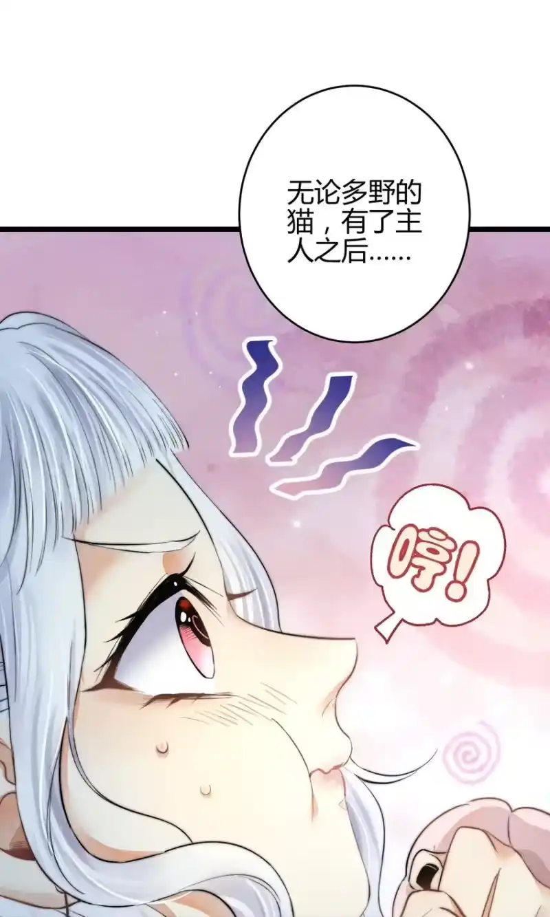 高塔_h 18 2F：野猫无主 第33页
