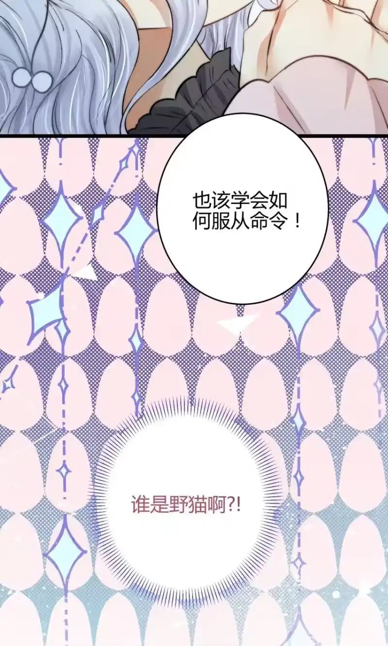 高塔_h 18 2F：野猫无主 第34页