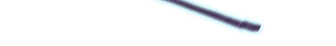 魔法屠神的我信仰科学 第17话 成为我们的主人吧！ 第215页