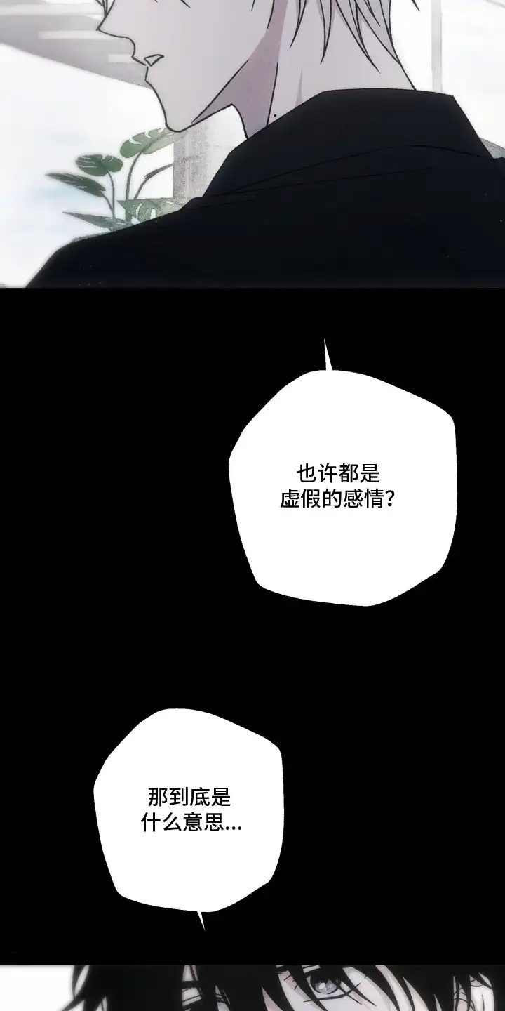 爱后余生 第19章：虚假 第13页