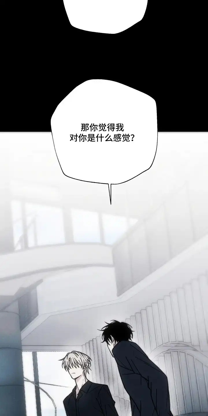 爱后余生 第19章：虚假 第15页