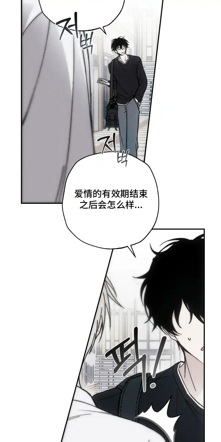 爱后余生 第1章：有效期 第11页