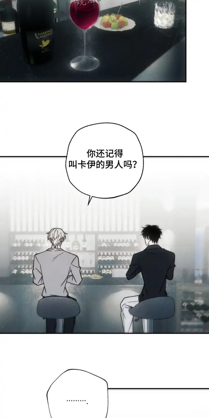 爱后余生 第21章：其实是我 第13页