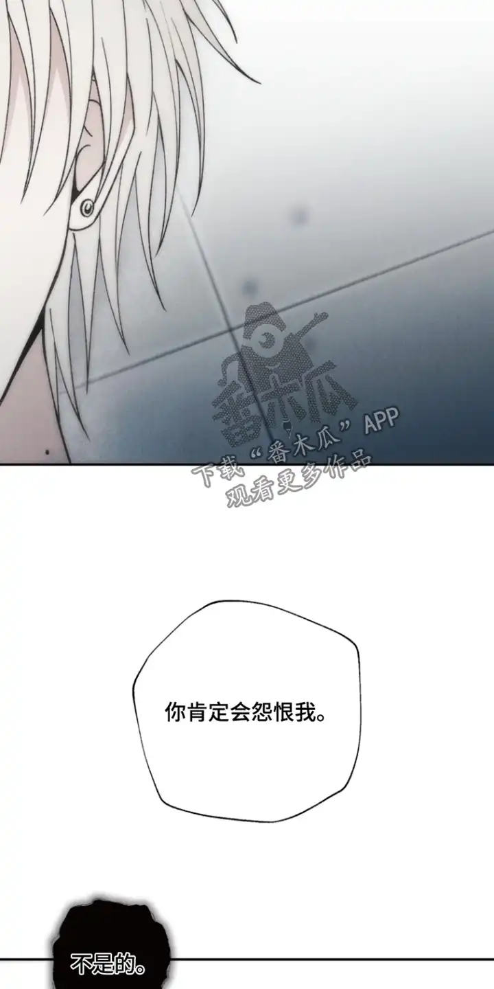 爱后余生 第22章：会变成这样 第24页