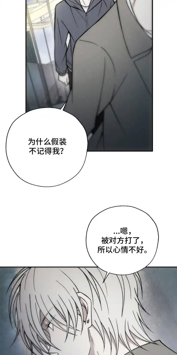爱后余生 第6章：两次机会 第5页