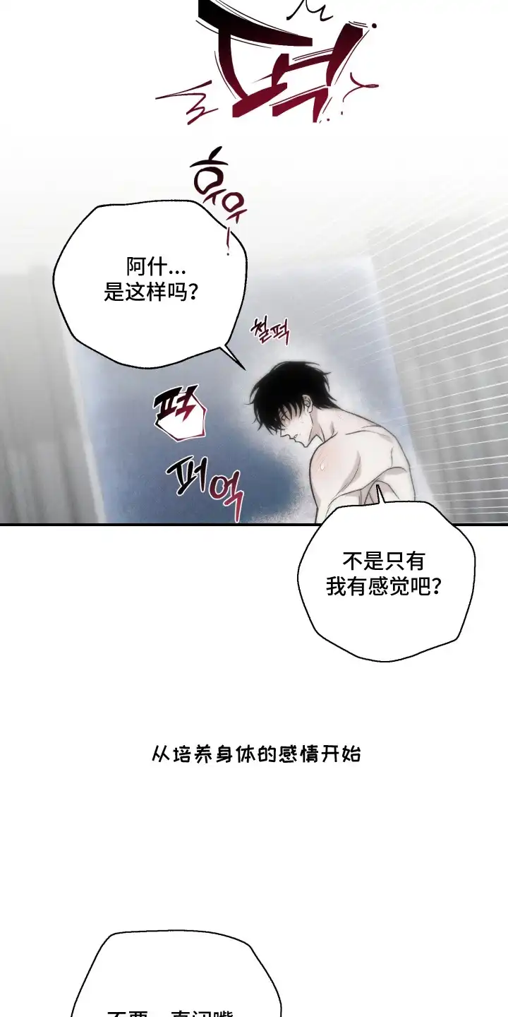 爱后余生 第8章：随便你吧 第12页