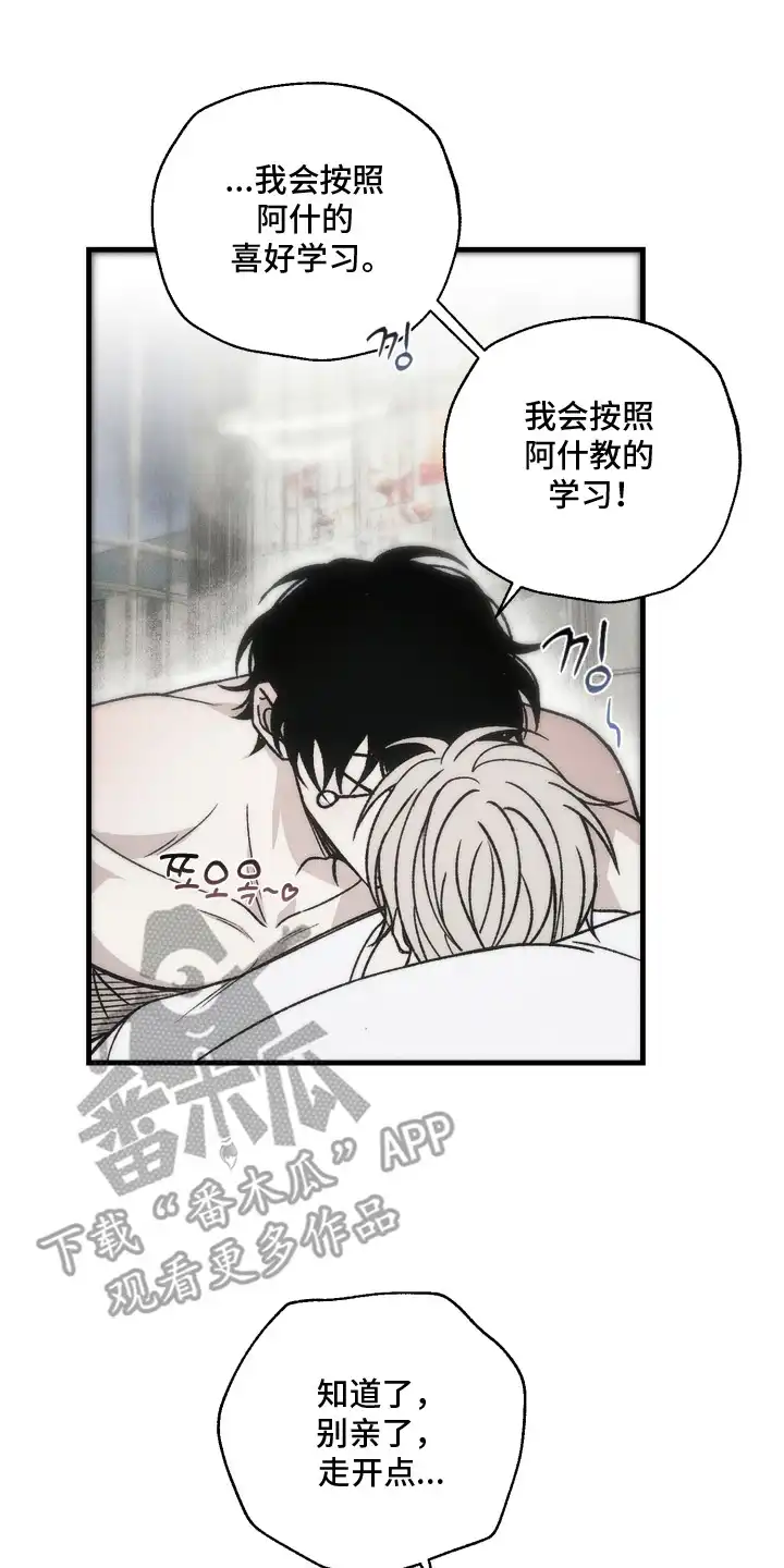 爱后余生 第8章：随便你吧 第2页