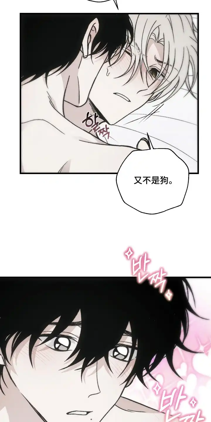 爱后余生 第8章：随便你吧 第3页