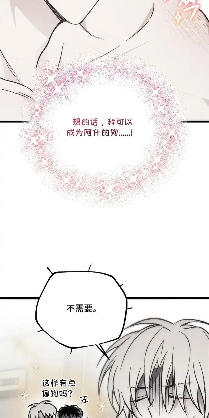 爱后余生 第8章：随便你吧 第4页