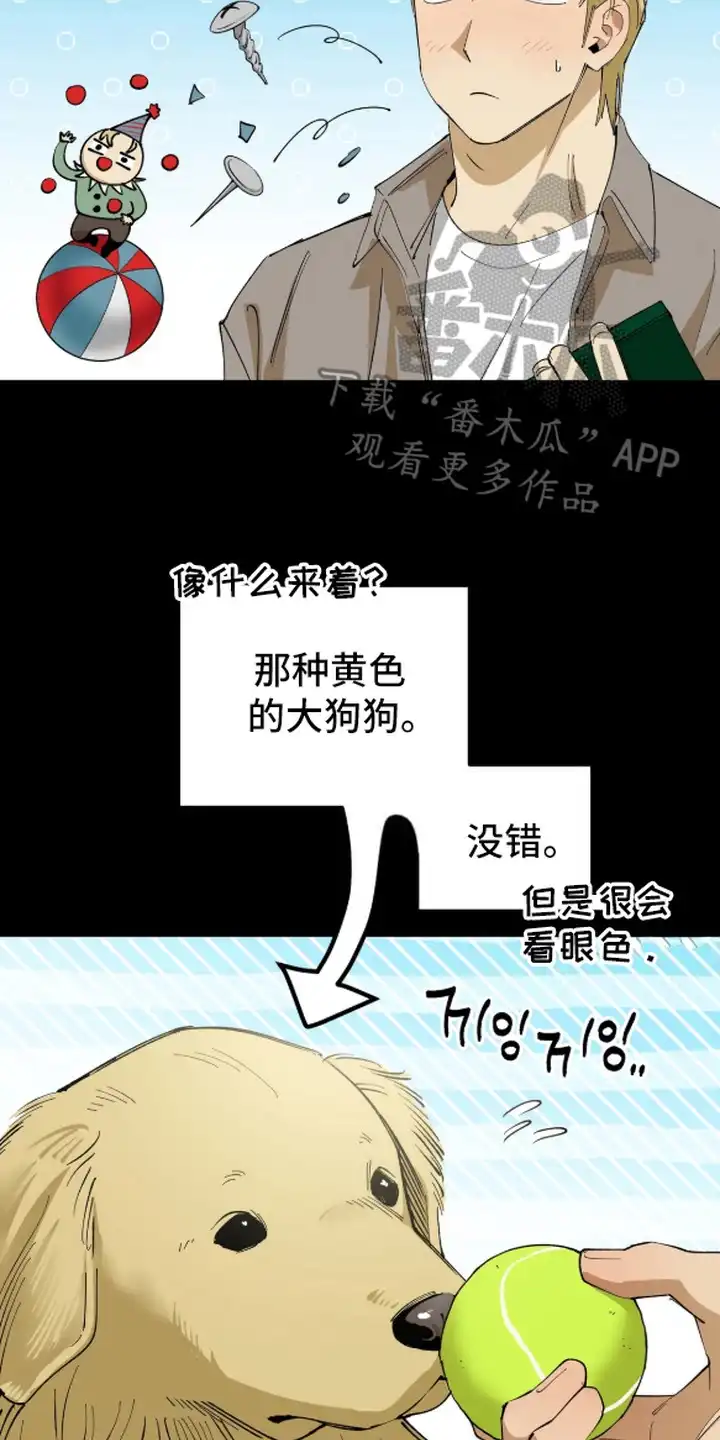 秘密学习指南 第11章：视线 第14页