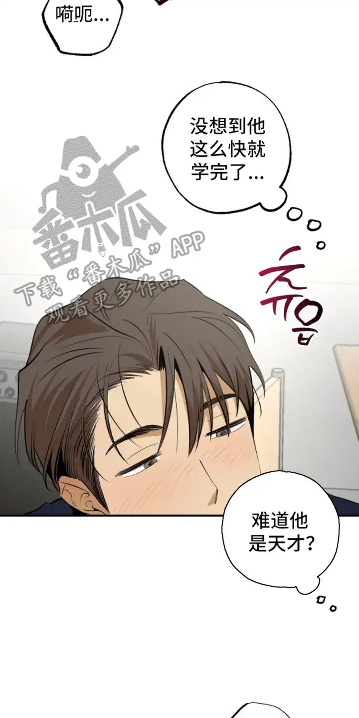秘密学习指南 第12章：集中注意力 第14页