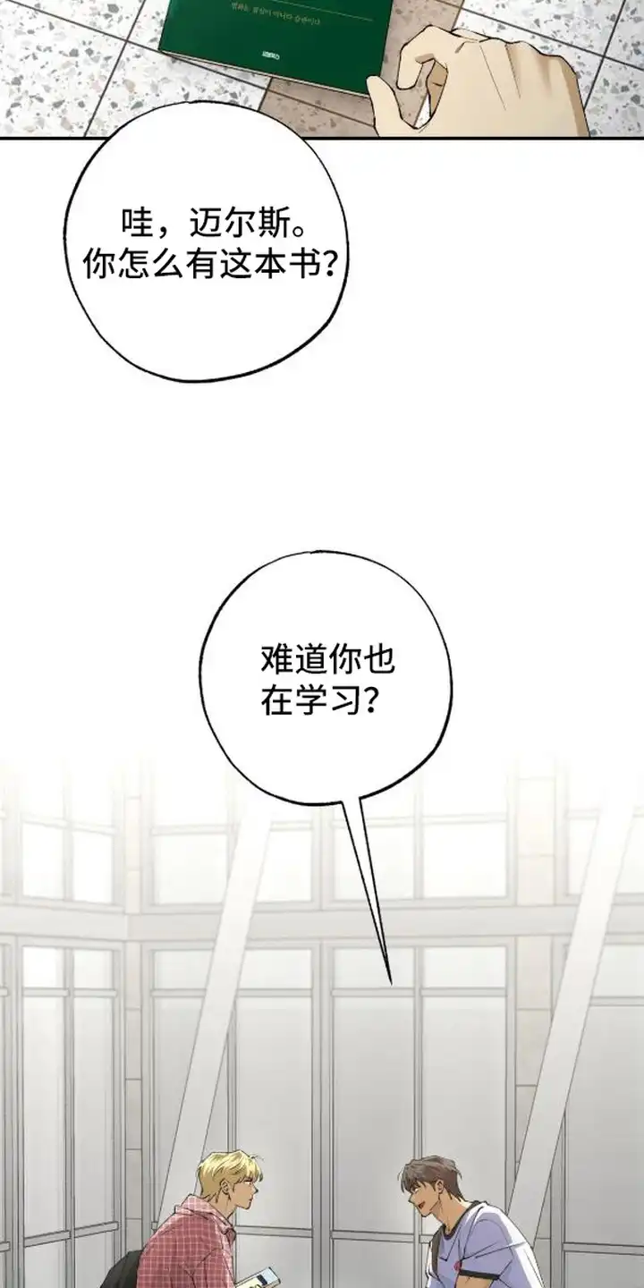 秘密学习指南 第3章：随机应变 第12页