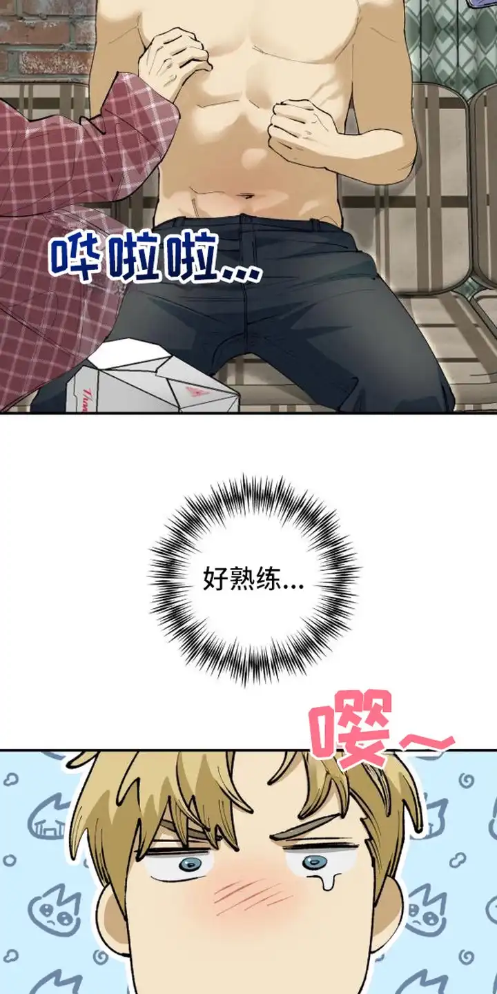 秘密学习指南 第4章：学习搭档 第15页