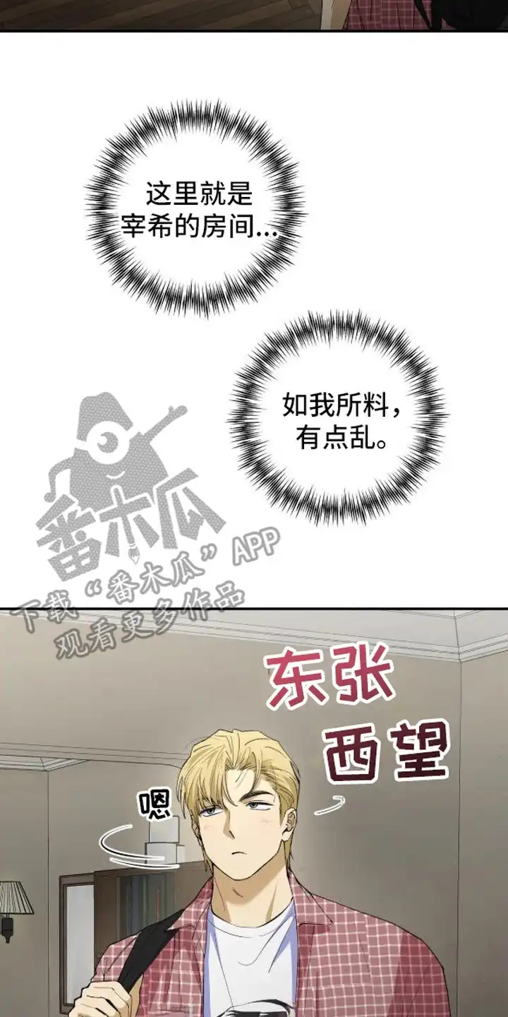 秘密学习指南 第4章：学习搭档 第2页