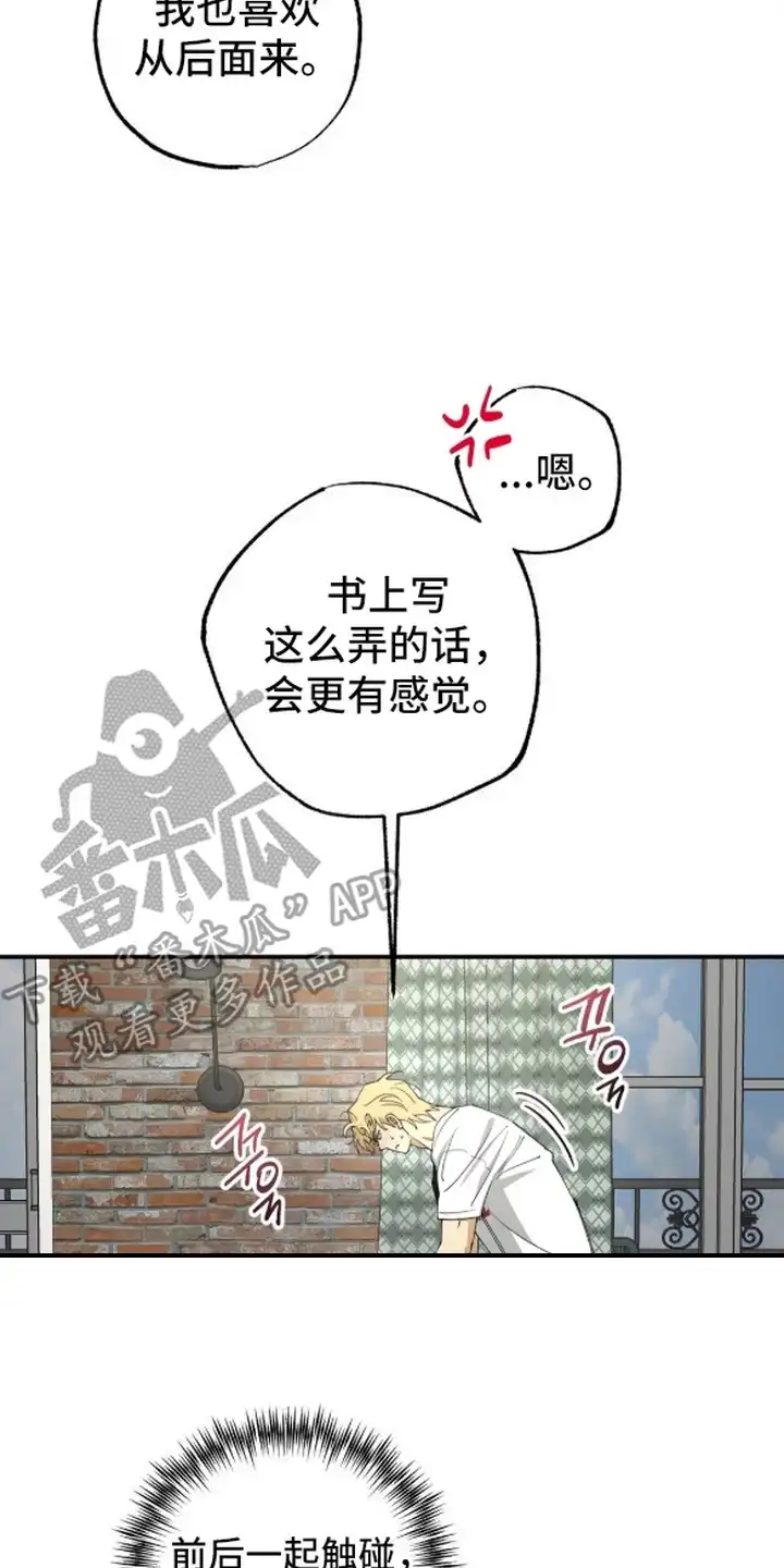 秘密学习指南 第9章：直接来 第17页
