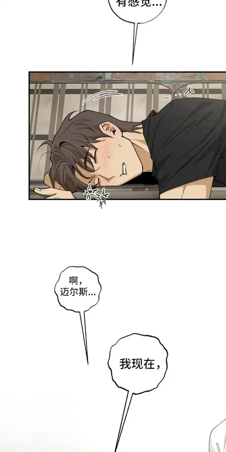 秘密学习指南 第9章：直接来 第19页