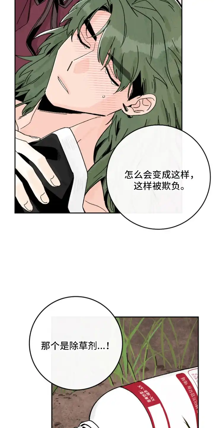 菜园情事 第10章：发火 第13页