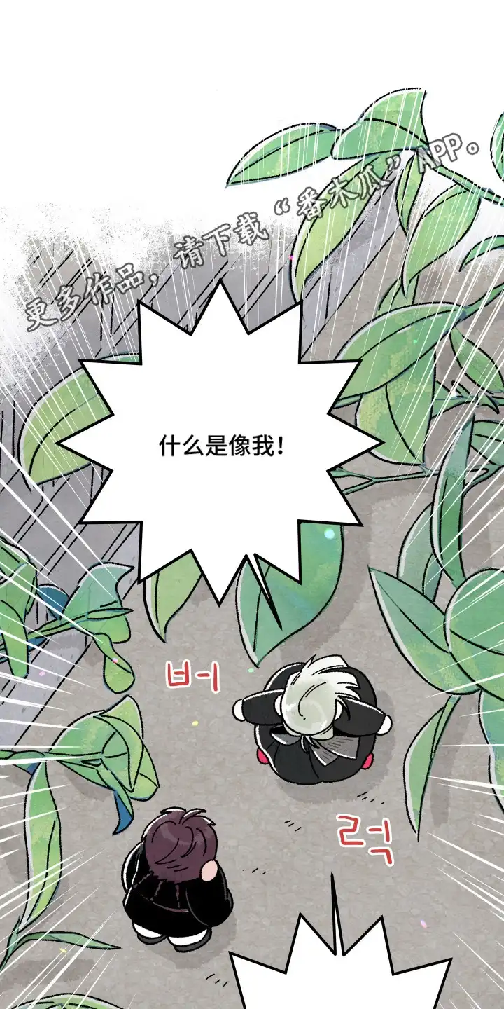 菜园情事 第13章：喜欢的样子（完结） 第11页