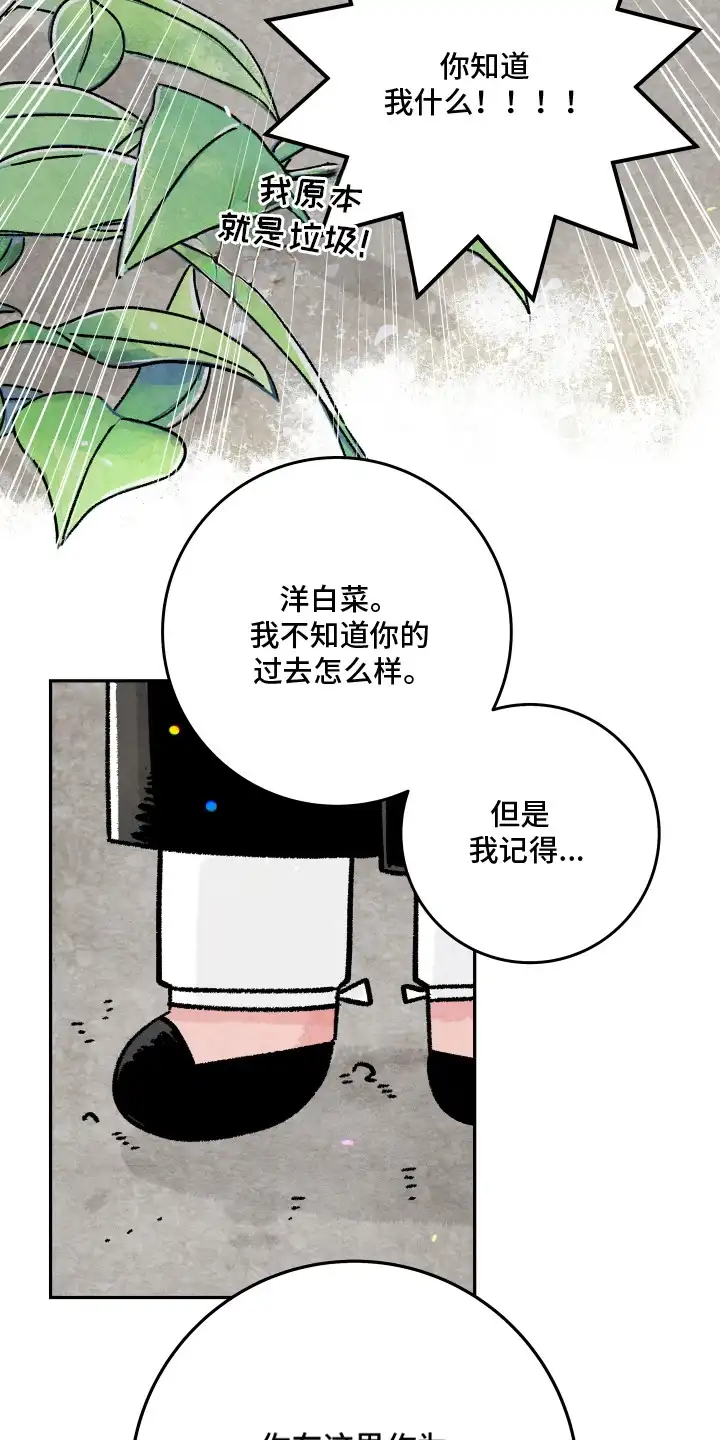 菜园情事 第13章：喜欢的样子（完结） 第12页