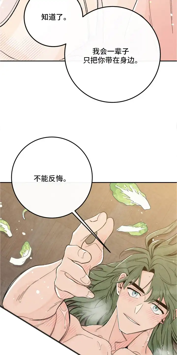 菜园情事 第13章：喜欢的样子（完结） 第4页