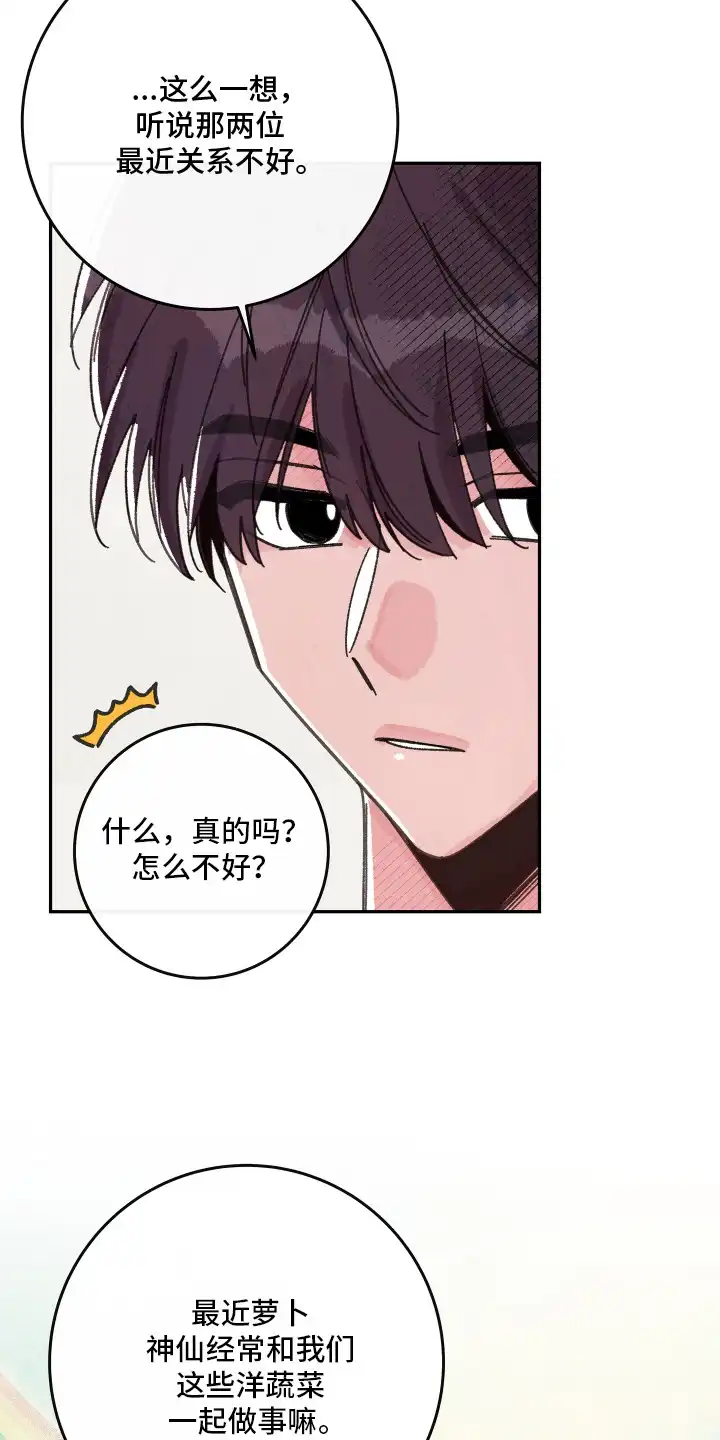 菜园情事 第1章：蔬菜神仙 第12页