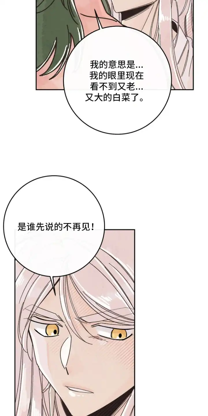 菜园情事 第4章：盐酒 第20页