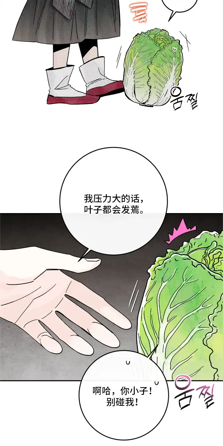 菜园情事 第7章：农药 第16页